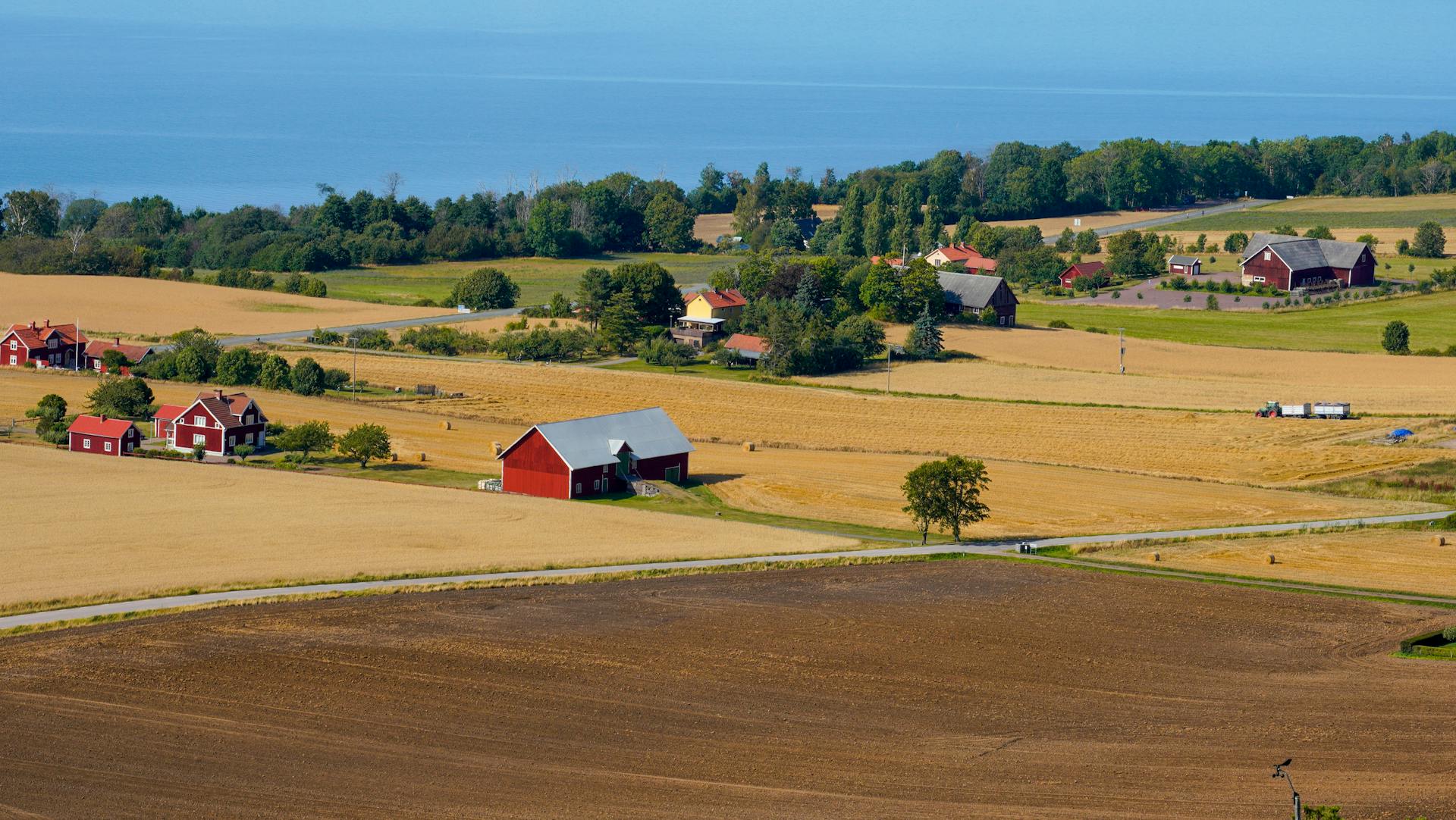 Professional Farm Tool Store -Professional Farm Tool Store pexels damir 33438633