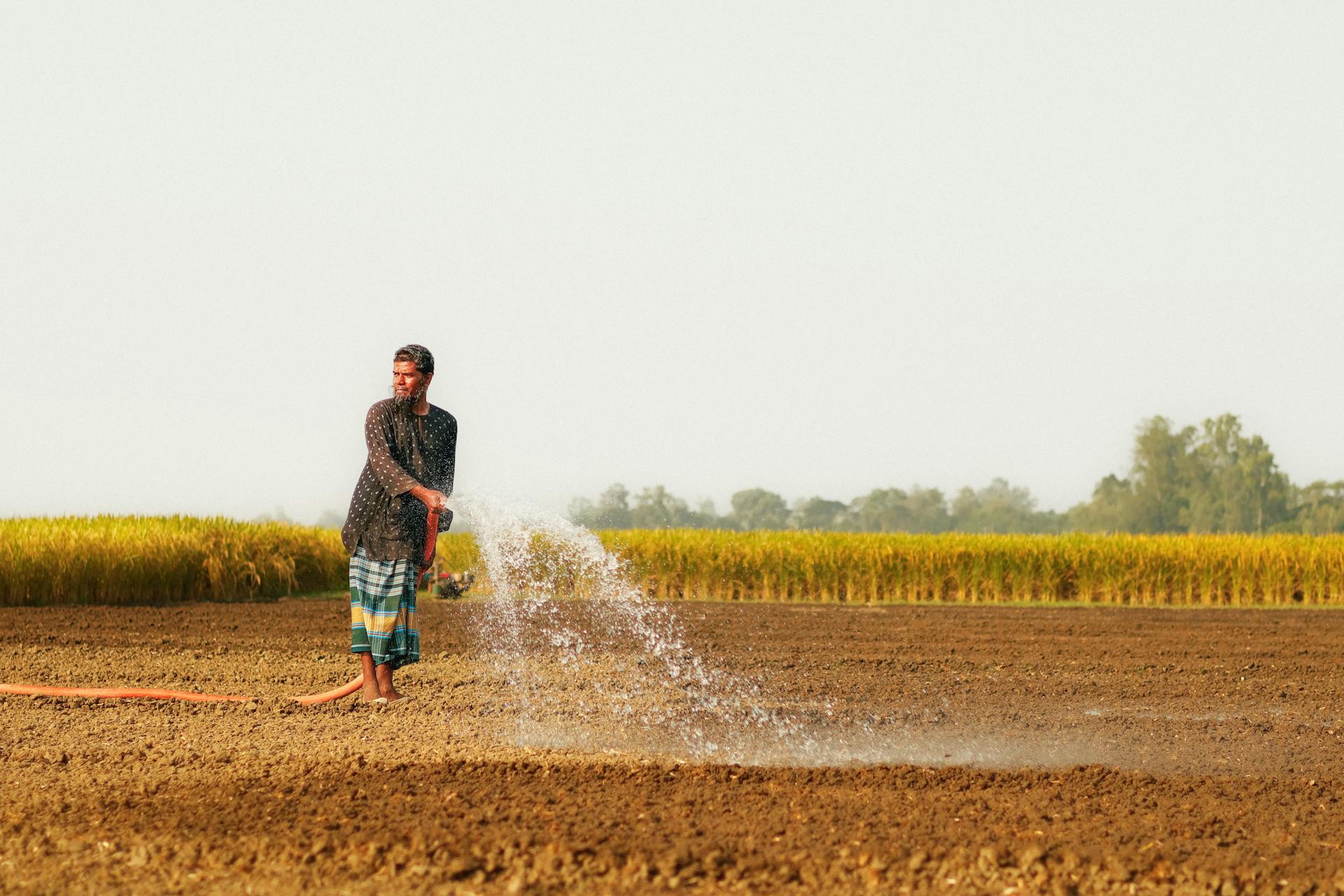 Professional Farm Tool Store -Professional Farm Tool Store pexels ferdous 34740056